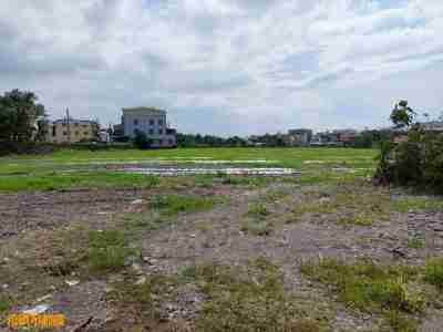售佳冬大坪數建地建地4.96萬